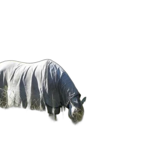 animal, jacket, creature, car transparent PNG cut-out