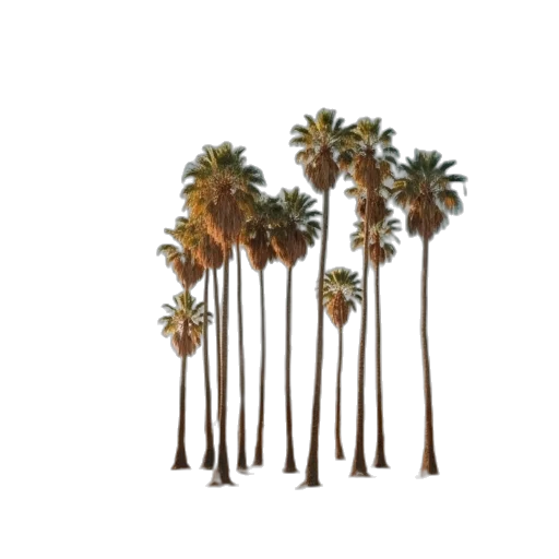 tree, umbrella, weapon, 3d render transparent PNG cut-out