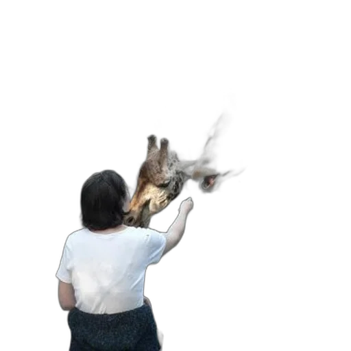 staff, animal, dragon, weapon transparent PNG cut-out