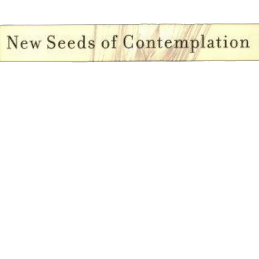 cover, new, seeds, contemplation transparent PNG cut-out