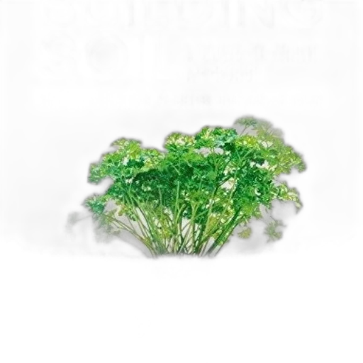 crown, jewelry, tree, flower transparent PNG cut-out