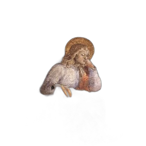 hair, jewelry, animal, creature transparent PNG cut-out
