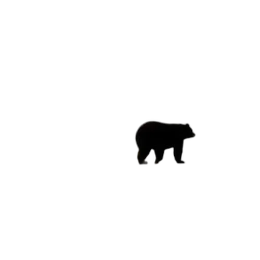 animal, creature, furniture, pixel art transparent PNG cut-out
