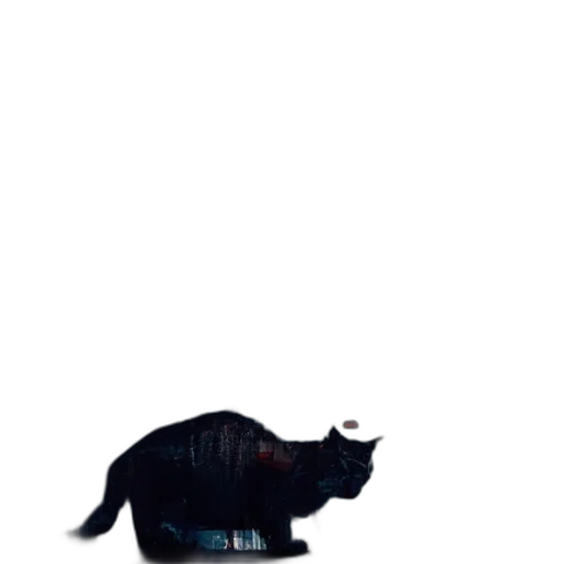 animal, creature, robot, jacket transparent PNG cut-out