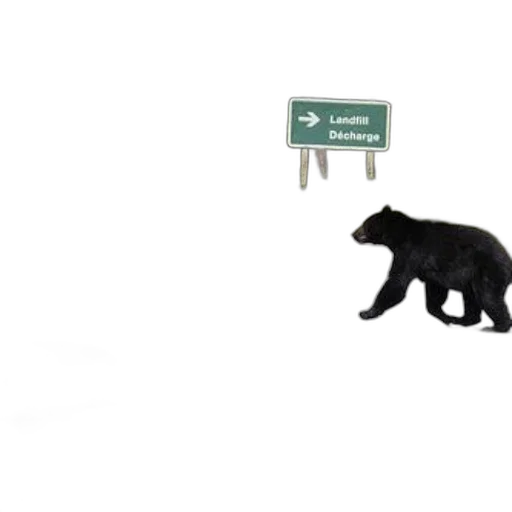 animal, furniture, staff, creature transparent PNG cut-out