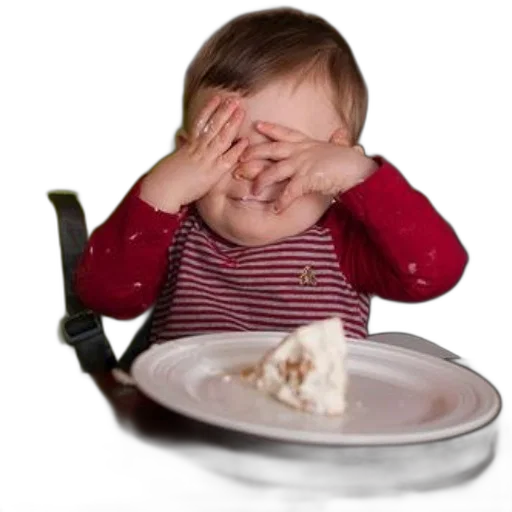 food, toddler, high, chair transparent PNG cut-out