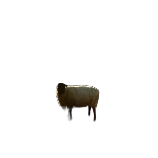 furniture, animal, creature, hair transparent PNG cut-out
