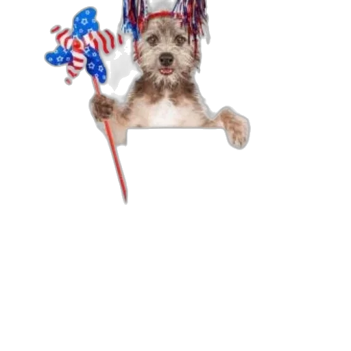 staff, animal, hat, creature transparent PNG cut-out