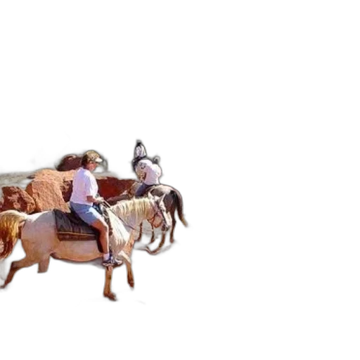 animal, car, furniture, weapon transparent PNG cut-out
