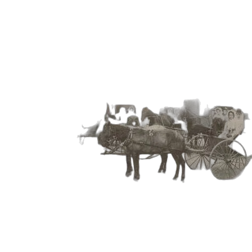 car, weapon, dragon, animal transparent PNG cut-out