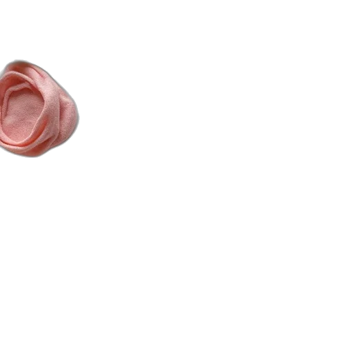food, flower, jewelry, face transparent PNG cut-out
