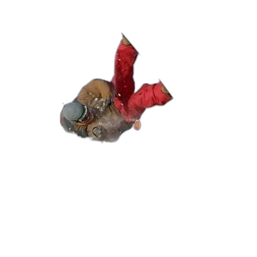 dragon, shoes, creature, animal transparent PNG cut-out