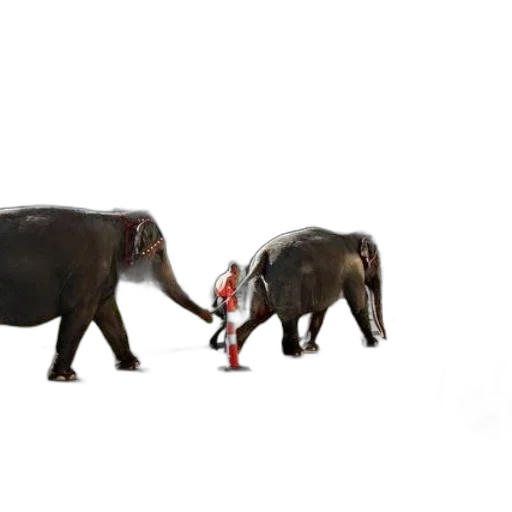 animal, staff, concept art, 3d render transparent PNG cut-out