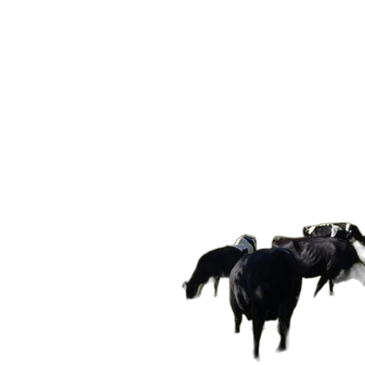animal, robot, creature, furniture transparent PNG cut-out
