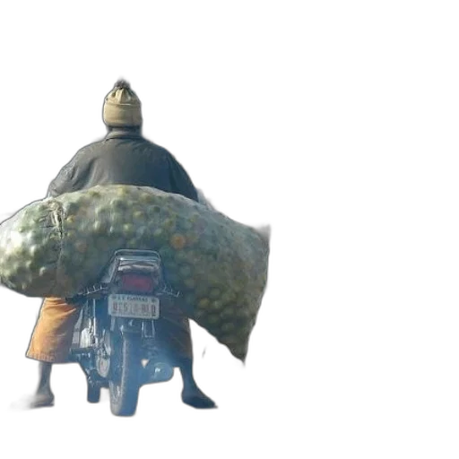 jacket, weapon, umbrella, creature transparent PNG cut-out