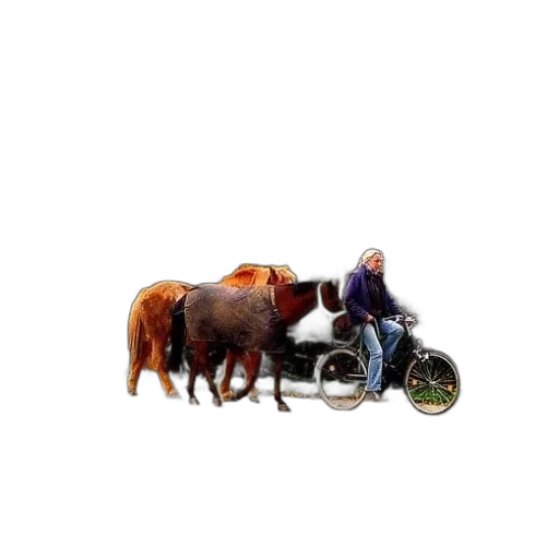 animal, car, weapon, food transparent PNG cut-out