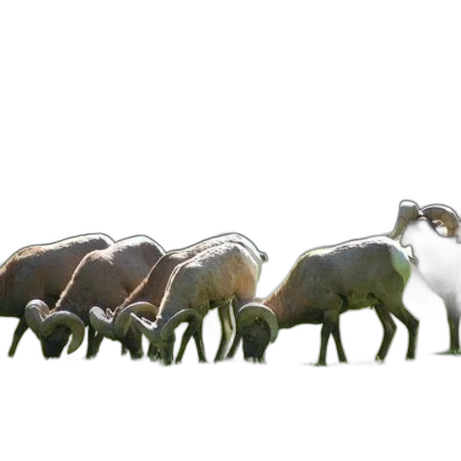 animal, creature, concept art, 3d render transparent PNG cut-out