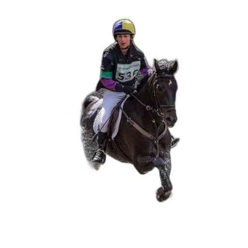 animal, staff, photorealistic, rider transparent PNG cut-out