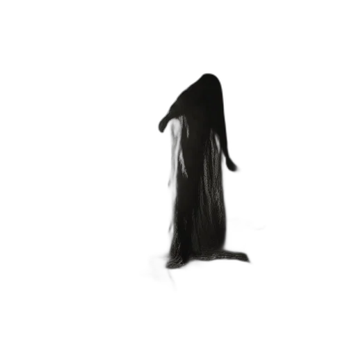 dress, hair, creature, staff transparent PNG cut-out