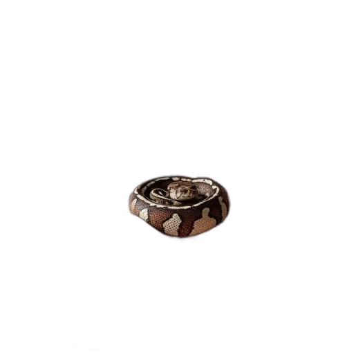 jewelry, crown, furniture, 3d render transparent PNG cut-out