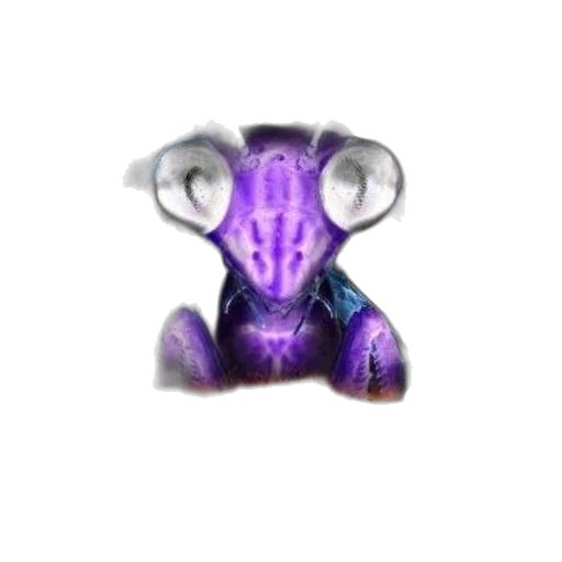 dragon, creature, animal, jewelry transparent PNG cut-out