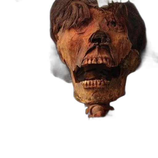 mask, face, creature, staff transparent PNG cut-out