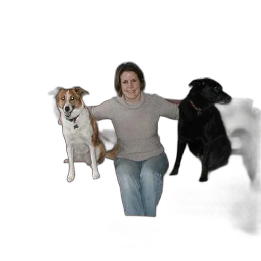 animal, creature, staff, photorealistic transparent PNG cut-out