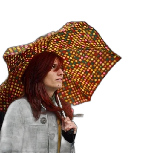 umbrella, jacket, hat, staff transparent PNG cut-out