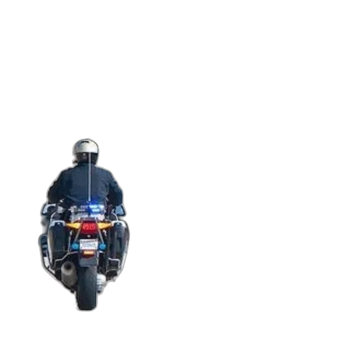 car, jacket, weapon, animal transparent PNG cut-out