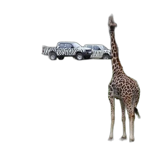 car, animal, creature, weapon transparent PNG cut-out