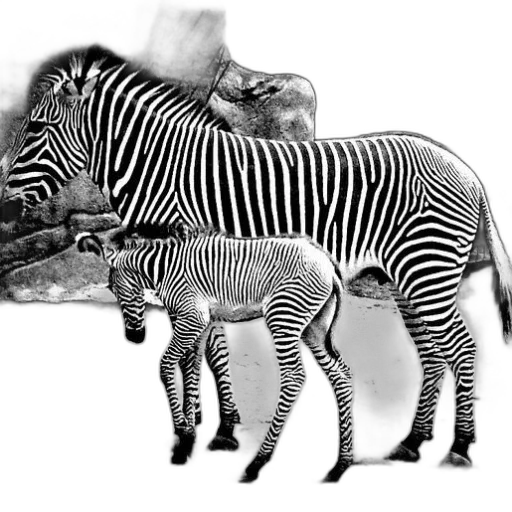 animal, creature, jewelry, photorealistic transparent PNG cut-out