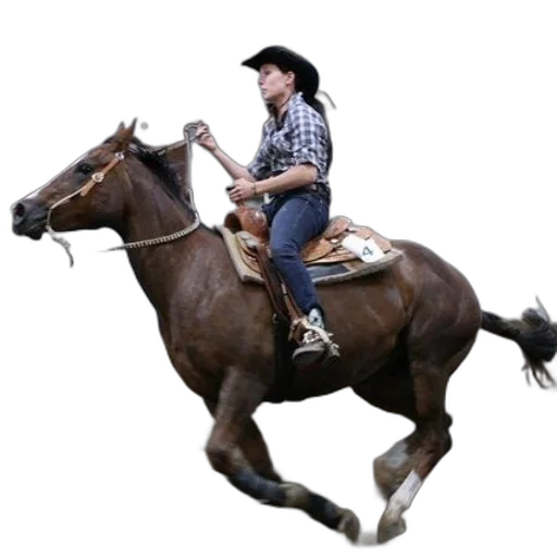 animal, hat, staff, photorealistic transparent PNG cut-out