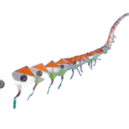 dragon, creature, staff, animal transparent PNG cut-out