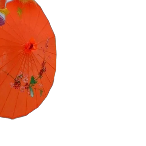 umbrella, flower, hat, crown transparent PNG cut-out