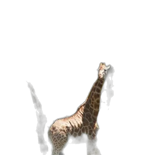 animal, creature, staff, dragon transparent PNG cut-out