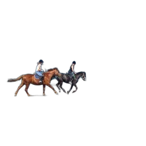 animal, staff, pixel art, concept art transparent PNG cut-out