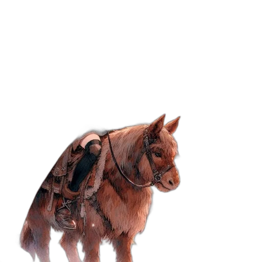 animal, staff, creature, jacket transparent PNG cut-out