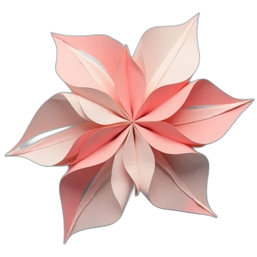 flower, jewelry, crown, umbrella transparent PNG cut-out