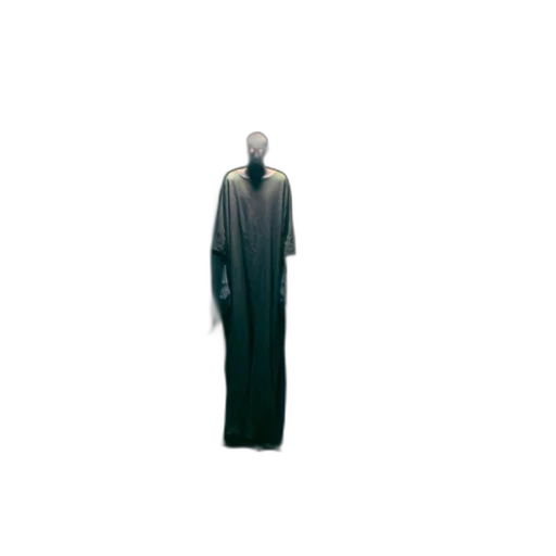 jacket, dress, staff, creature transparent PNG cut-out