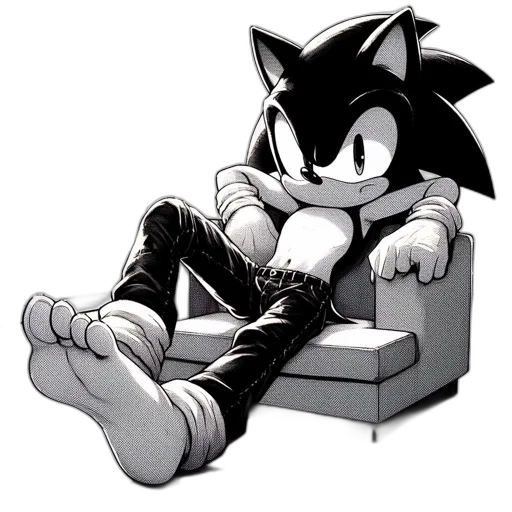 furniture, shoes, animal, creature transparent PNG cut-out