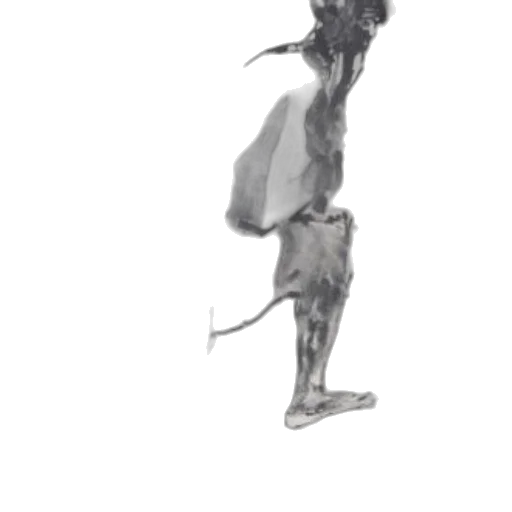 creature, dress, staff, animal transparent PNG cut-out