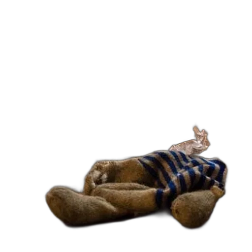 shoes, furniture, creature, animal transparent PNG cut-out