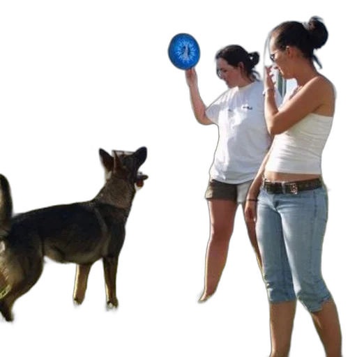 staff, two, women, stand transparent PNG cut-out