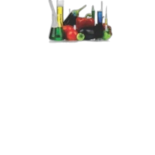 furniture, food, jewelry, staff transparent PNG cut-out