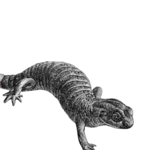 dragon, animal, creature, staff transparent PNG cut-out