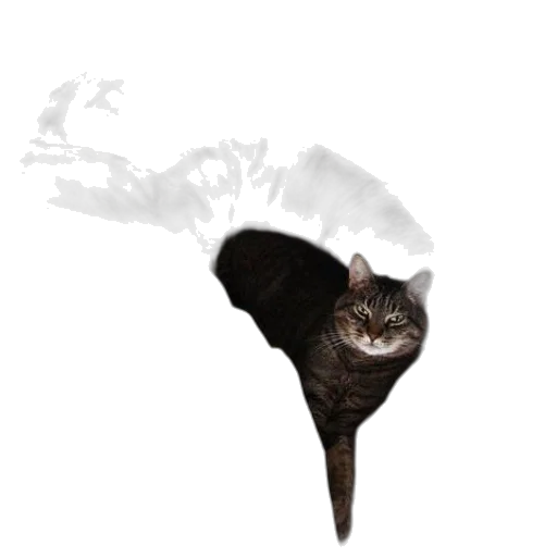 animal, creature, dragon, staff transparent PNG cut-out