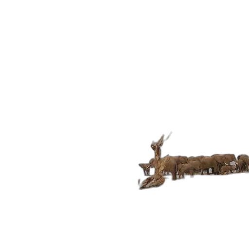 staff, animal, sword, weapon transparent PNG cut-out