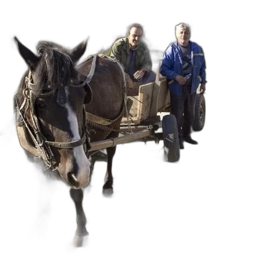 staff, animal, car, jacket transparent PNG cut-out