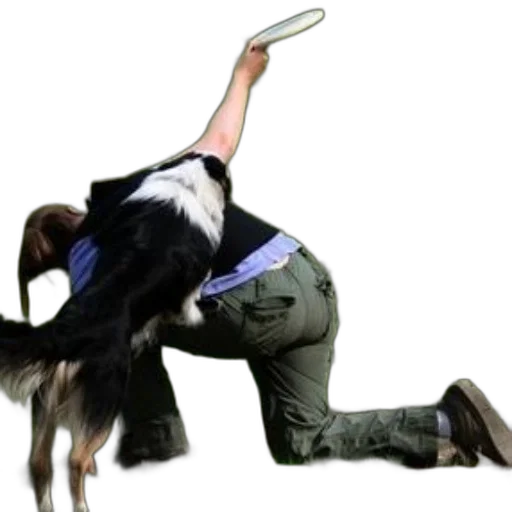staff, animal, creature, hair transparent PNG cut-out
