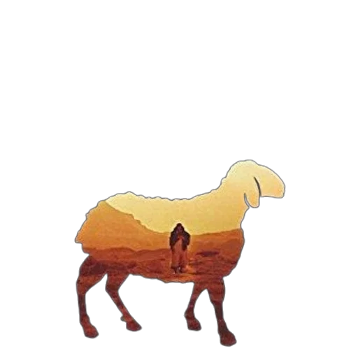 animal, creature, dress, hair transparent PNG cut-out